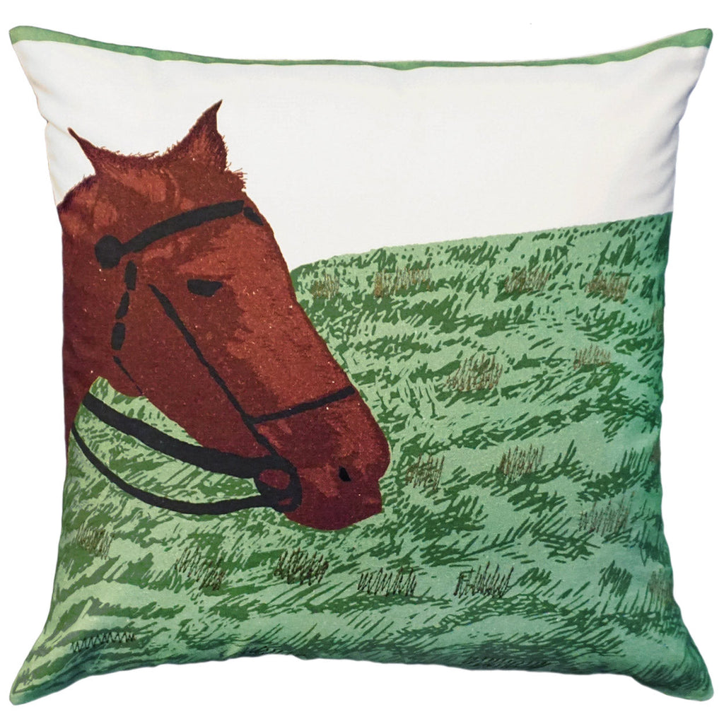 Horse In Field Decorative Throw Pillow, Size: 20x20