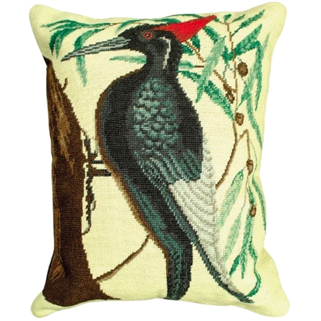 White Bill Woodpecker Aubudon Needlepoint Throw Pillow, Size: 20x16
