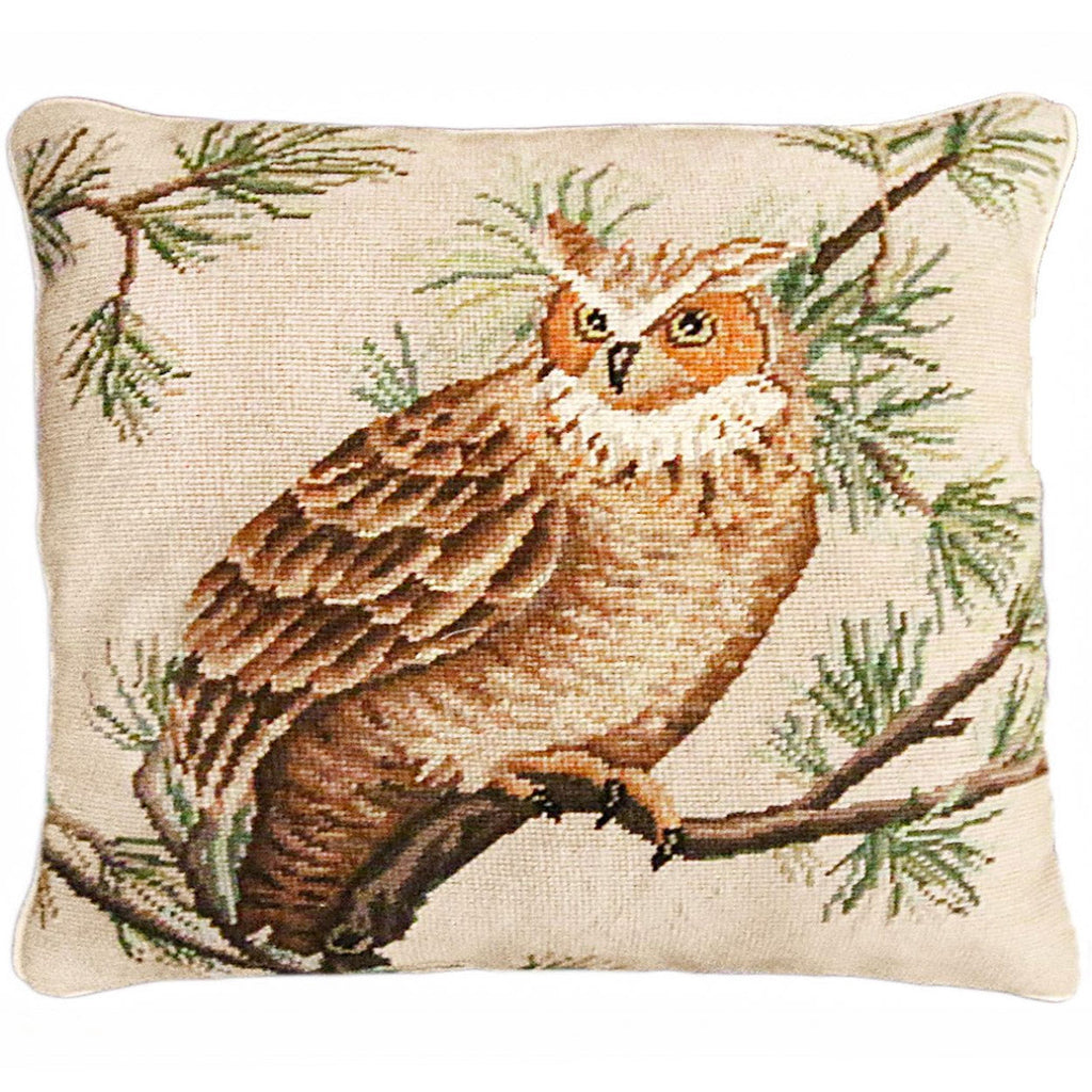 Wildlife Barn Owl Brown Outdoor Nature Decorative Lodge Pillow, Size: 18x18